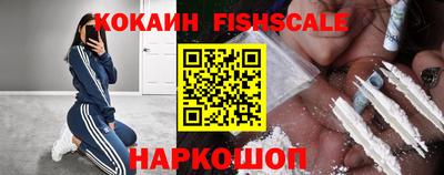 прущие крисы Камышлов
