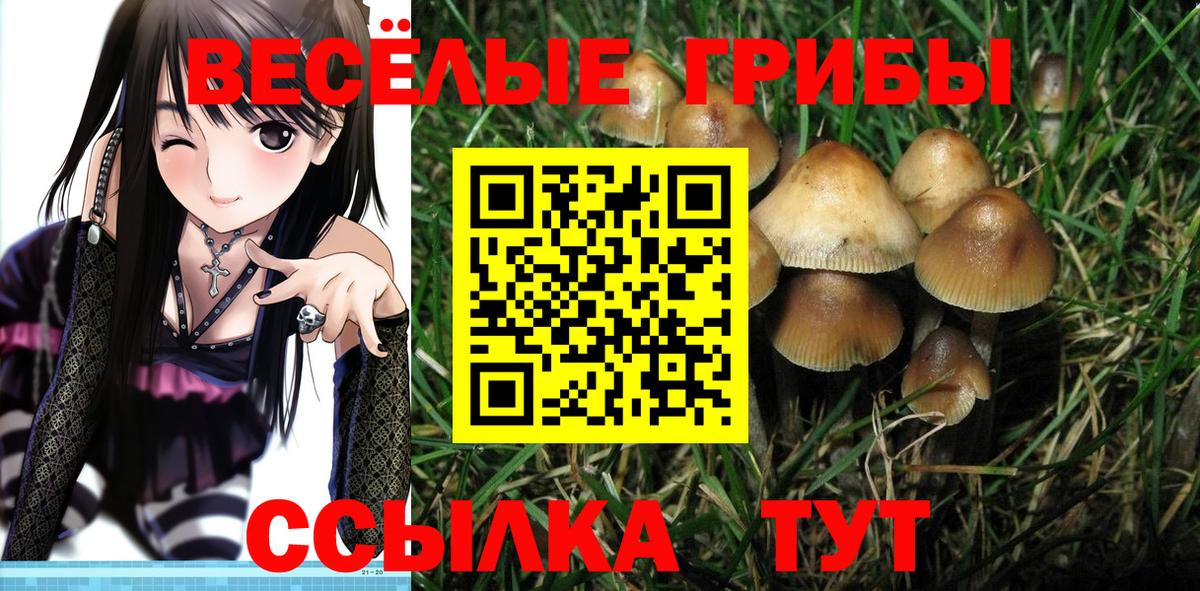 Псилоцибиновые грибы MAGIC MUSHROOMS Ликино-Дулёво