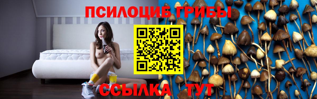 Ликино-Дулёво  Галлюциногенные грибы Psilocybine cubensis  Вход с VPN 